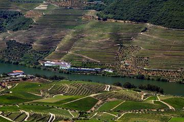 Douro Breathtaking Landscapes Small Group Tour with Lunch and Wine Tasting