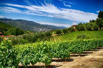 Douro Valley and Northern Portugal Small Group Wine Tasting Tour