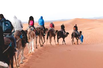 3-day excursion to Merzouga from Marrakech including the Dades valley and camel trek in Erg Chebbi