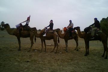 Excursion to the desert at night from Marrakech to Zagora