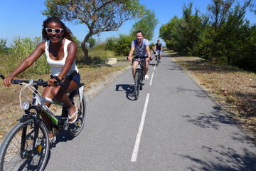 1 Day Charming Rides Through The Wonders Of Camargue
