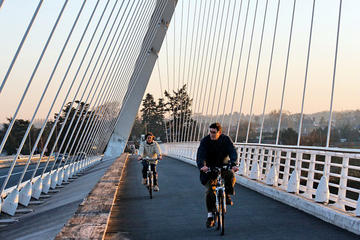 3-Hour Strasbourg and Kehl Bike Tour from Strasbourg