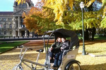 30-Minute Sightseeing Tour of Strasbourg by Pedicab