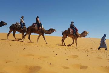Camel ride and Camp Night in Merzouga