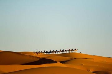 Camel Treks in the Moroccan Desert departing from Merzouga