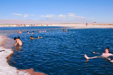 Cejar Lagoon Half-Day Tour from San Pedro de Atacama