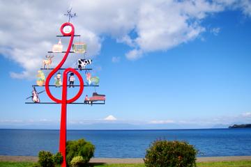 Day Tour to The Border of Llanquihue Lake and Osorno Volcano from Puerto Varas