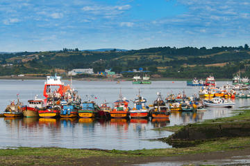 Full-Day Tour Chiloe Istand Including Ancud - Castro and Dalcahue from Puerto Varas