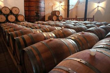 Full-Day Wineries Tour from Santiago