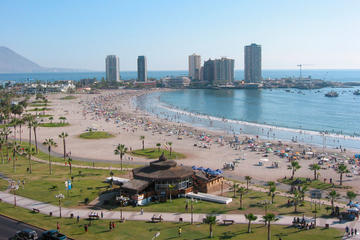 Iquique City Tour