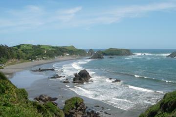 Island of Chiloe and The Penguins of Puñihuil from Puerto Varas