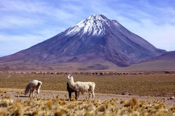 Overnight Licancabur Volcano Trekking Tour from San Pedro de Atacama