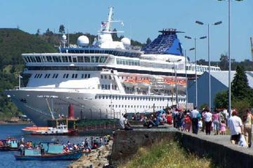 Shore Excursion: Private City Tour of Puerto Montt and Puerto Varas