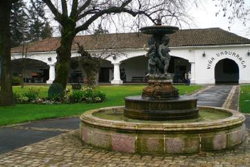 Wine Tour to Santa Rita and Undurraga Wineries
