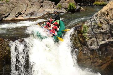 Adventure Rafting Class III and IV in Tenorio River from Playa Tamarindo