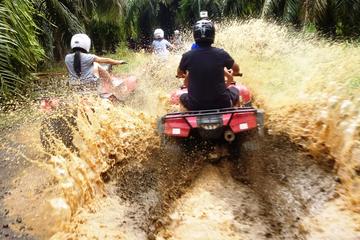 ATV and Canopy Tour From Flamingo Beach