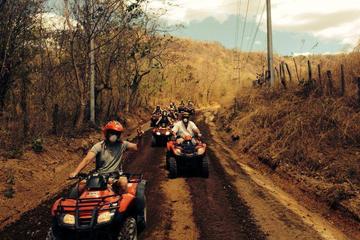 ATV and Canopy Tour from Riu Guanacaste or Nuevo Colon