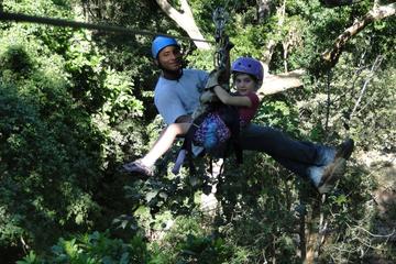 Canopy Tour from Playa Hermosa