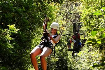 Canopy Tour From Tamarindo