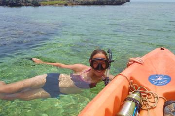 Kayak and Snorkel Tour in Tamarindo Beach from Flamingo Beach