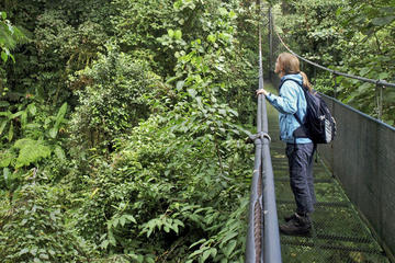 Sky Walk Tour with Hanging Bridges and Nature Preserve