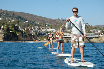 Stand Up Paddle Board Tour at Flamingo Beach