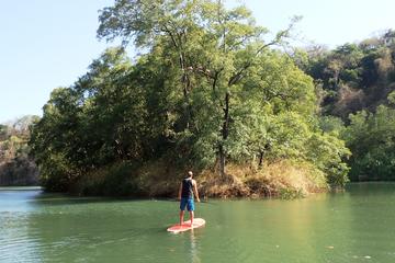 Samara Mangrove Stand Up Paddling