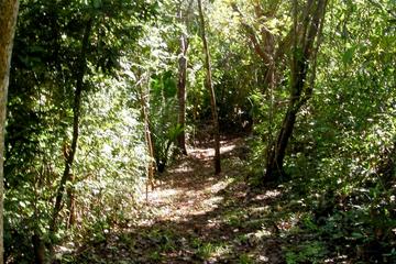 Samara Trails Including Werner Sauter Biological Reserve