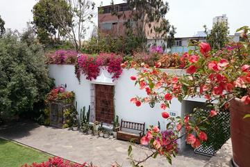 Private Tour Lima City Tour and Larco Museum Tour