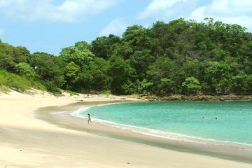 8-Day Discovering Nicaragua