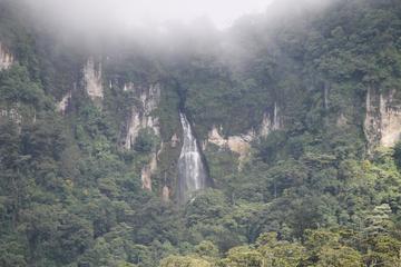 Peñas Blancas and Bosawas