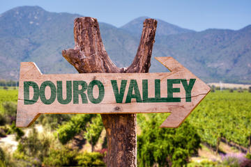 Douro Valley Day Trip with Lunch from Porto