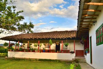 Coffee Tour at La Finca del Café in Santa Rosa del Cabal