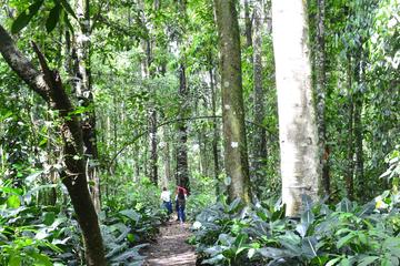 Day Tour to Otun Quimbaya's Flora and Fauna Sanctuary