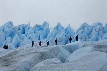Full-Day Trekking the Perito Moreno Glacier