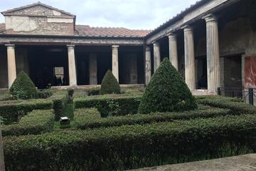 Semi private half day in Pompeii from Rome extraordinary afternoon opening