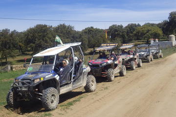 Bandoleros Buggy Tour of Ronda Surroundings