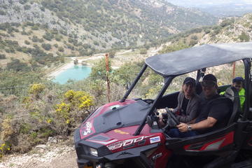 Offroad Wildlife Buggy Drive