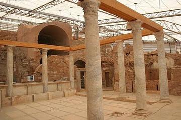 Private Tour: Ephesus and Terrace Houses Tour from Kusadasi