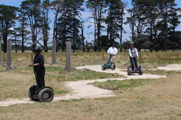 Cleveland Winery Segway Resort Adventure: 40-minutes