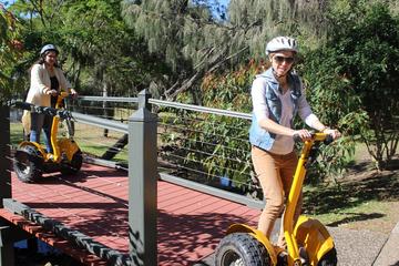 Gold Coast Segway Mcintosh Island Tour