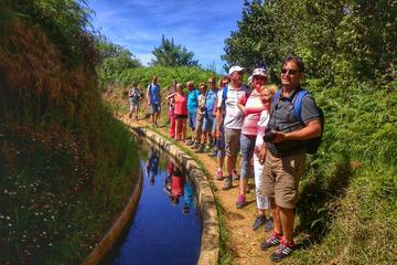 Half Day walking- Levada dos Prazeres