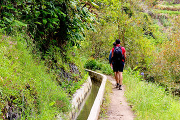 Levada do Norte