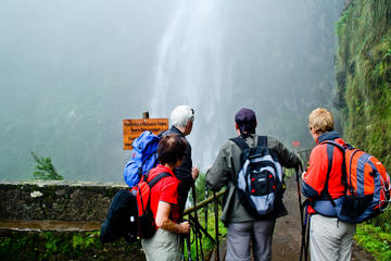 Levada Rabaçal and 25 Fountains Walking Tour