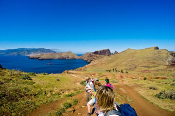 Ponta de São Lourenço Half Day Tour