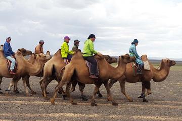 3 Day Karakorum and Elsen Tasarkhai tour