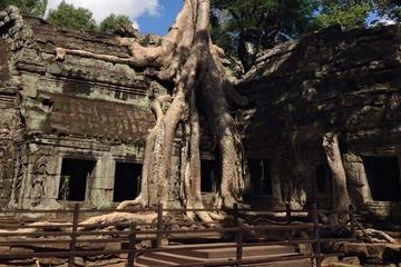 Half-Day Ta Prohm and Banteay Kdei Tour
