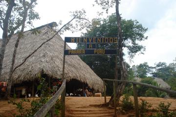 Embera Village and Jungle Tour from Panama City