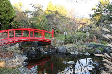 Hobart Flora and Fauna Tour Including the Royal Botanical Gardens