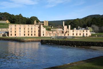 Small-Group Tasmania Convict Trail and Port Arthur Day Trip from Hobart